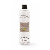 Recharge 250ml - Esprit de thé - ESTEBAN PARIS